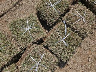 미성잔디조경님의 기타작물 · 영농일지 작성글 사진