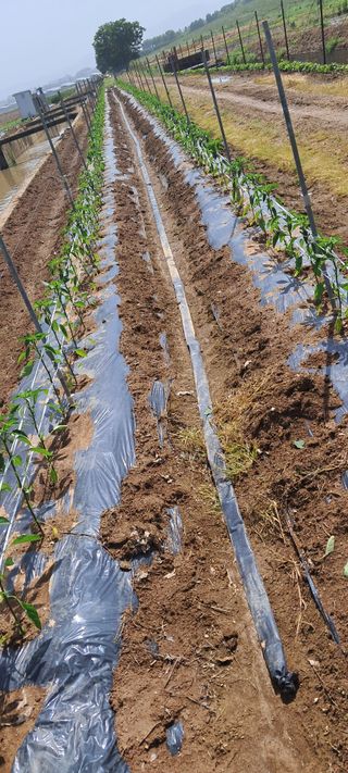 귀요미야옹이최세근님의 자유주제 · 자유게시판 작성글 사진