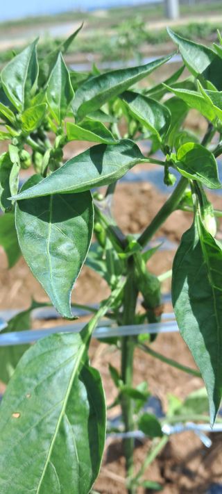 귀요미야옹이최세근님의 자유주제 · 자유게시판 작성글 사진