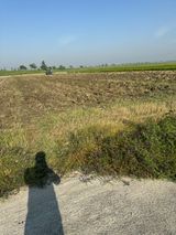 팜모닝 벼·자유게시판 게시글 이미지