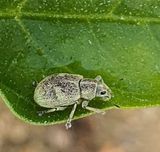 팜모닝 자유주제·자유게시판 게시글 이미지