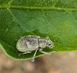 여농님의 자유주제 · 자유게시판 작성글 사진