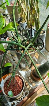 팜모닝 농사, 무엇이든 물어보세요!·참여글 게시글 이미지