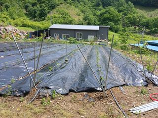 유경규 님의 5월 내 작물 자랑하기 · 참여글 작성글 사진