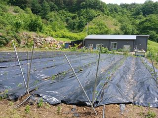 유경규 님의 5월 내 작물 자랑하기 · 참여글 작성글 사진
