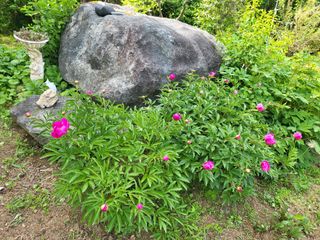 김경순님의 자유주제 · 사진전 작성글 사진