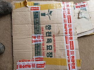 조상길님의 자유주제 · 자유게시판 작성글 사진