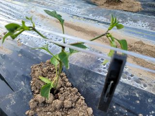 조상길님의 자유주제 · 자유게시판 작성글 사진