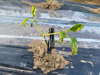 조상길님의 자유주제 · 자유게시판 작성글 사진