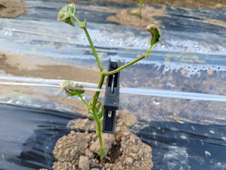 조상길님의 자유주제 · 자유게시판 작성글 사진