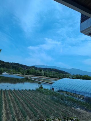 윤희님의 5월 내 작물 자랑하기 · 참여글 작성글 사진