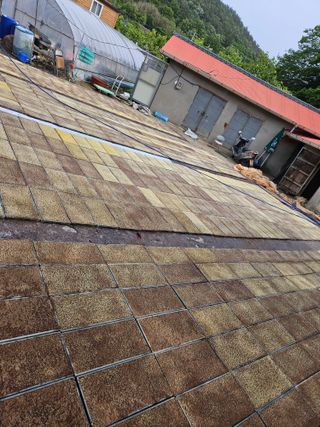 땅끝해남님의 벼 · 영농일지 작성글 사진