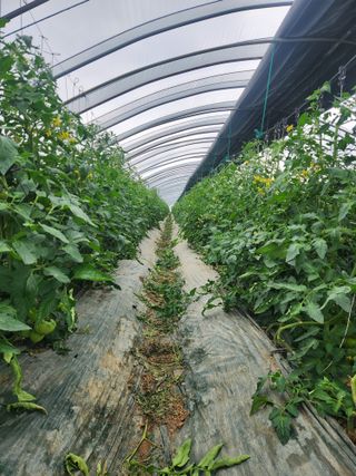 미소김님의 자유주제 · 자유게시판 작성글 사진