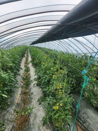 미소김님의 자유주제 · 자유게시판 작성글 사진