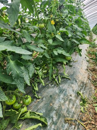 미소김님의 자유주제 · 자유게시판 작성글 사진