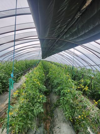 미소김님의 자유주제 · 자유게시판 작성글 사진