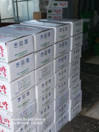 알 수 없음님의 5월 내 작물 자랑하기 · 참여글 작성글 사진