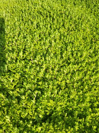 문보라님의 작성글 사진