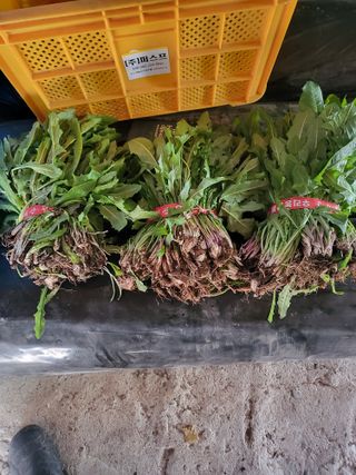 문보라님의 작성글 사진