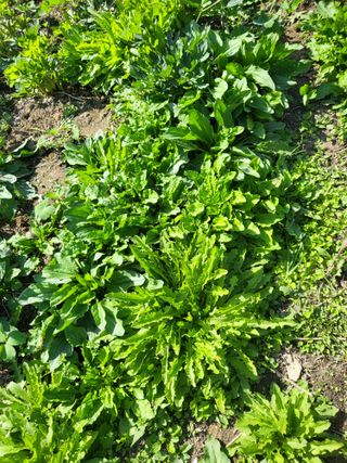 문보라님의 작성글 사진