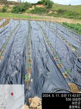 팜모닝 자유주제·칭찬해요 게시글 이미지