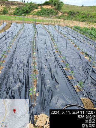 무지개님의 자유주제 · 칭찬해요 작성글 사진