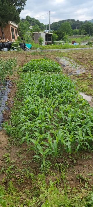 리윤구님의 자유주제 · 사진전 작성글 사진