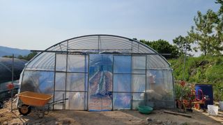 건달 농장(최승혁)님의 자유주제 · 자유게시판 작성글 사진