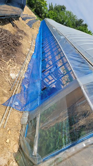 건달 농장(최승혁)님의 자유주제 · 자유게시판 작성글 사진