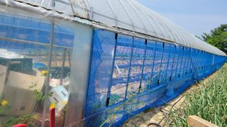 건달 농장(최승혁)님의 자유주제 · 자유게시판 작성글 사진