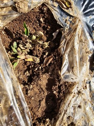 시아오님의 자유주제 · 자유게시판 작성글 사진