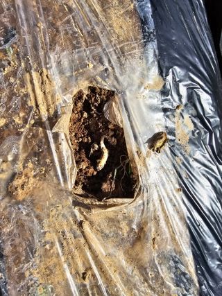 시아오님의 자유주제 · 자유게시판 작성글 사진