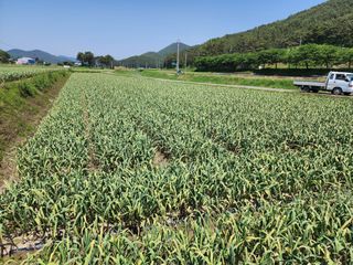 공명호님의 자유주제 · 자유게시판 작성글 사진