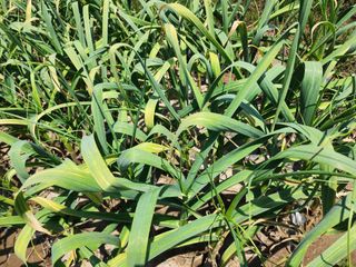 공명호님의 자유주제 · 자유게시판 작성글 사진