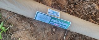 조미숙님의 고추 · 영농일지 작성글 사진