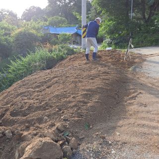 마늘16716님의 5월 내 작물 자랑하기 · 참여글 작성글 사진