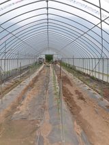 팜모닝 5월 내 작물 자랑하기·참여글 게시글 이미지