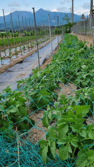 최언봉님의 자유주제 · 자유게시판 작성글 사진