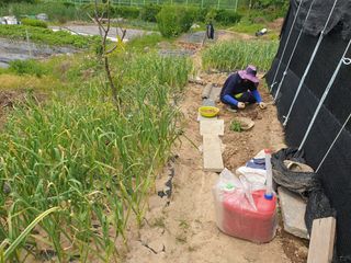 SOUL님의 자유주제 · 자유게시판 작성글 사진