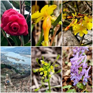 SOUL님의 자유주제 · 자유게시판 작성글 사진