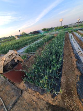 김도훈님의 작성글 사진