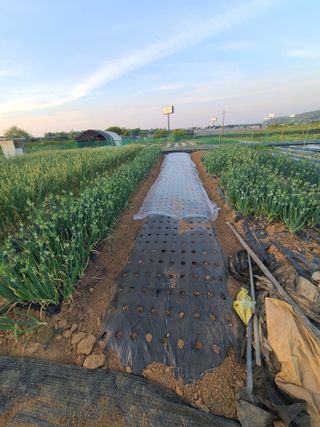 김도훈님의 작성글 사진