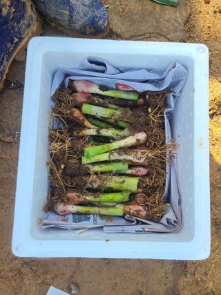 김도훈님의 작성글 사진