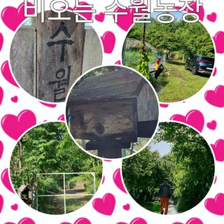 달방구님의 자유주제 · 자유게시판 작성글 사진