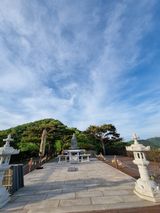 팜모닝 자유주제·자유게시판 게시글 이미지