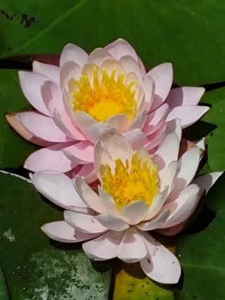 손병만님의 자유주제 · 자유게시판 작성글 사진