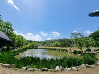 손병만님의 자유주제 · 자유게시판 작성글 사진