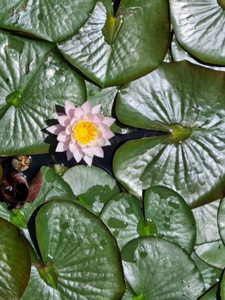 손병만님의 자유주제 · 자유게시판 작성글 사진