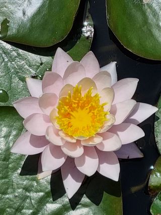 손병만님의 자유주제 · 자유게시판 작성글 사진