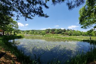 손병만님의 자유주제 · 자유게시판 작성글 사진
